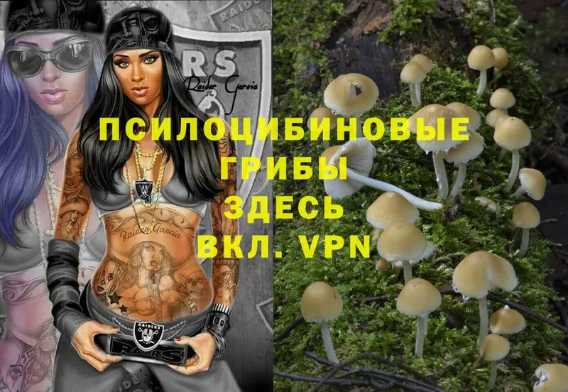 купить закладку  Дюртюли  Псилоцибиновые грибы MAGIC MUSHROOMS 